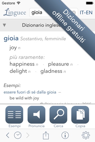 Dictionary Linguee screenshot 2