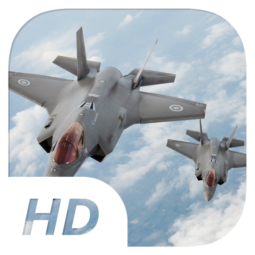 Gaivotas Travessos - Flight Simulator iOS App