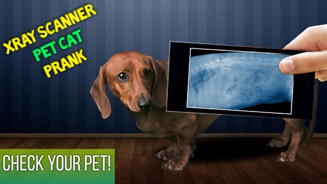 Xray Scanner Pet Cat Prank(圖1)-速報App