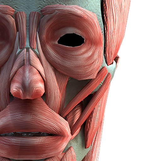 3d人体模型by Shanghai Meisi Medical Technology Co Ltd