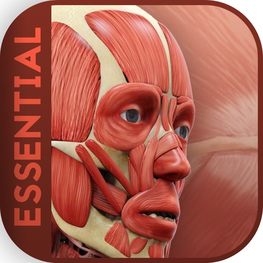 Essential Anatomy 5 by Video Edition icon