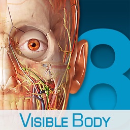 Human Anatomy Atlas – 3D Anatomical Model of the Human Body
