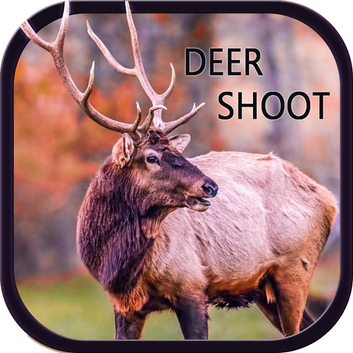 Deer Hunter Wild life Sniper killing 2016 Icon