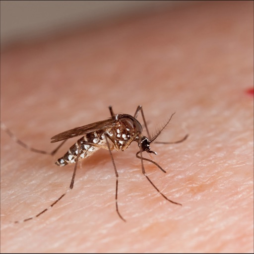 Zika Virus Info icon