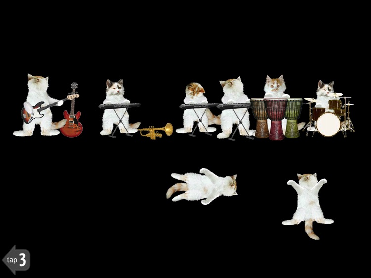 Catch and Paint Games for Cats screenshot-4