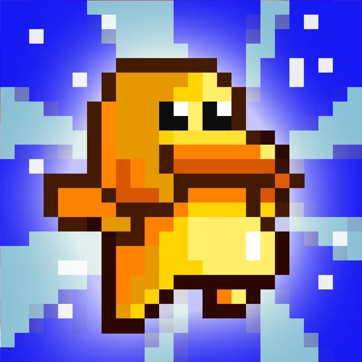 Big Duck Venture iOS App