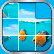 Activities of Best Slide Puzzle Game.s – Picture Scramble.r & Tile Sliding Challenge for Kids and Adults