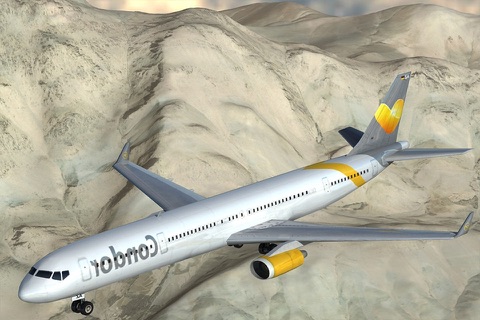 Big Bee - Cargo Plane Simulator screenshot 3