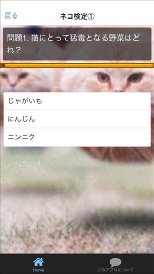 I LOVE ねこ検定(圖3)-速報App