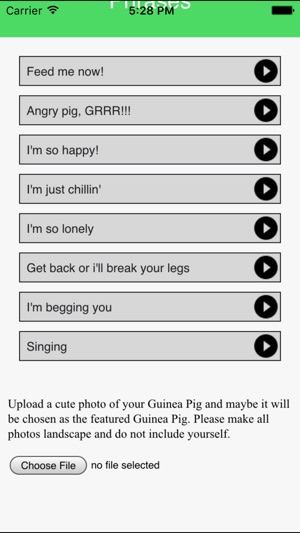 Guinea Pig Communicator(圖2)-速報App