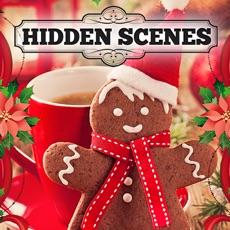 Activities of Hidden Scenes - Cozy Christmas