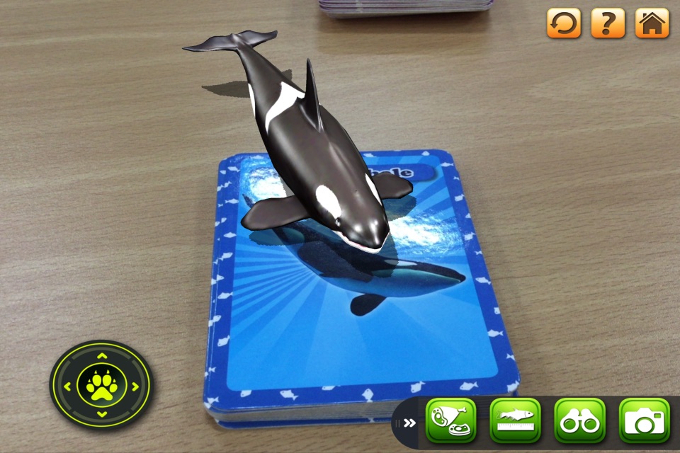 3D LEARNING CARD SEA ANIMALS screenshot 3
