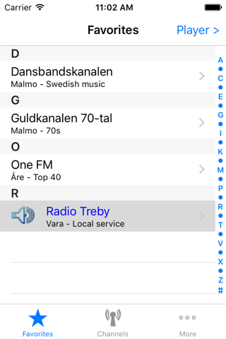 Radio Sweden screenshot 4