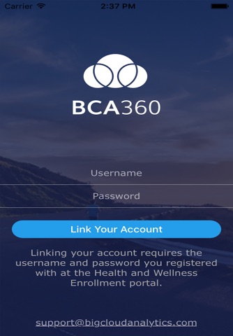 BCA360 screenshot 3