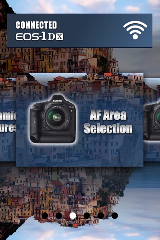 Canon 1DX Advanced Overview screenshot 4