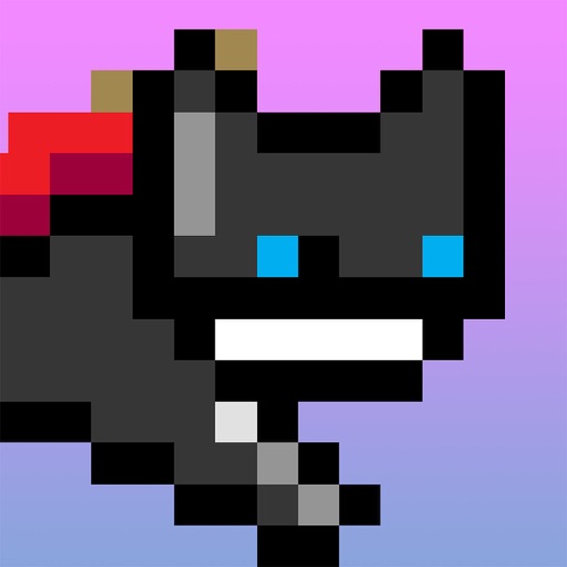 Black Ninja Cat iOS App