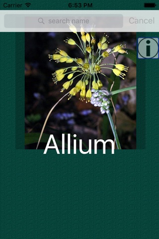 Flowers Dictionary screenshot 4