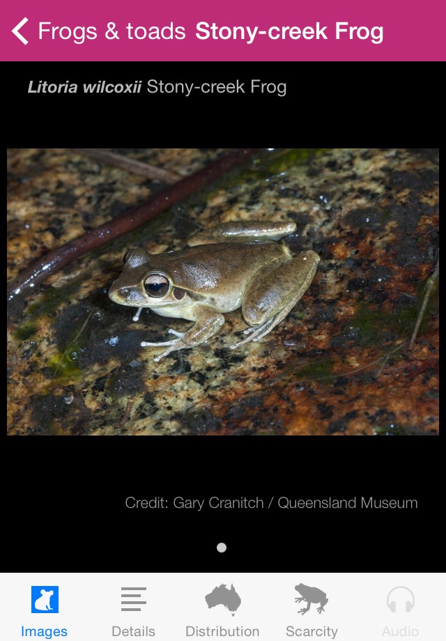 Field Guide to Queensland Fauna screenshot 3