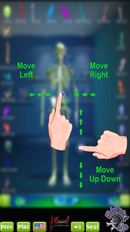 GM4L Skeleton Bone Game