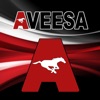 AVEESA Business Support Remote