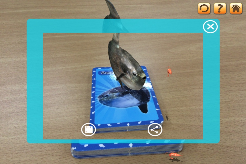 3D LEARNING CARD SEA ANIMALS screenshot 4