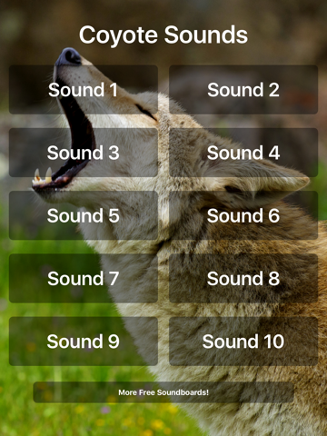 Coyote Sounds! - náhled
