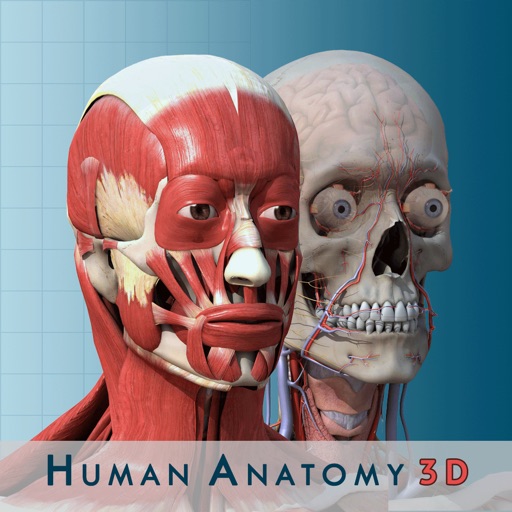 Anatomy and Physiology 3D - Anatomical Model of the Human Body icon