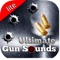 UGS - Ultimate Gun Sounds FX & Effects Free