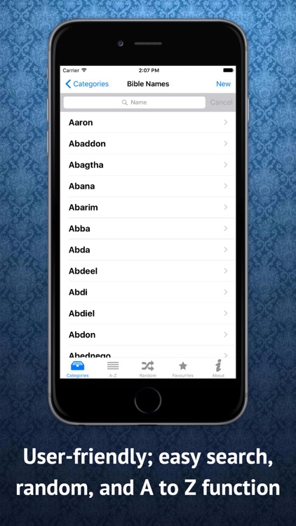 Bible Names Dictionary screenshot-1