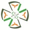 Feis411