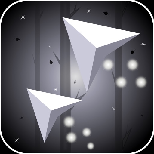 Into the Woods - 2 Planes Run iOS App