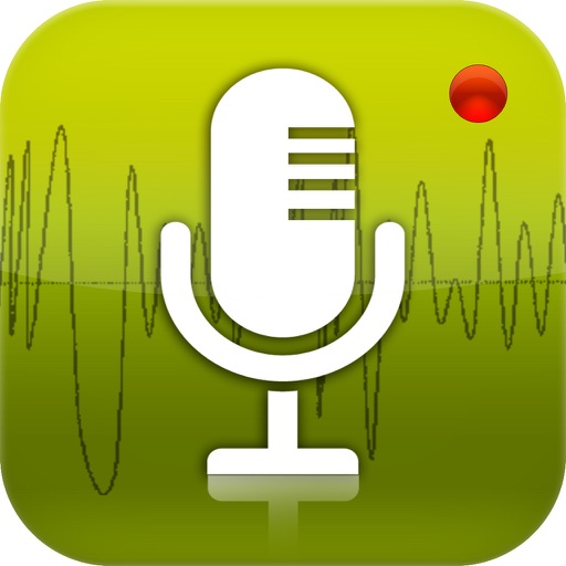 extra voice recorder lite says hours not secionds