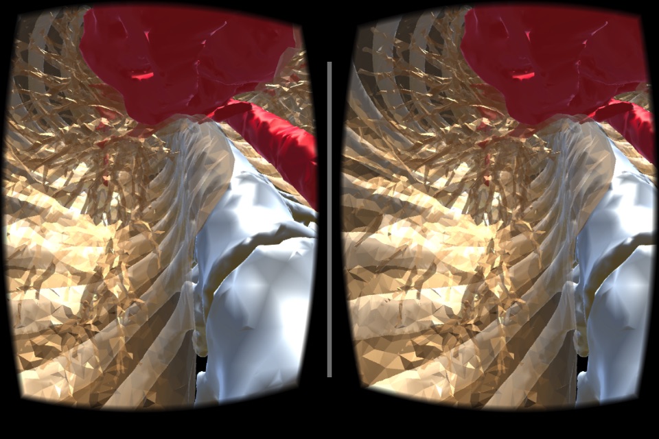 VR Body Guide screenshot 3