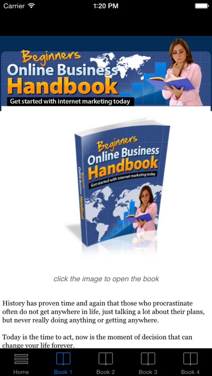 Internet Marketing Beginner's Guide screenshot-3