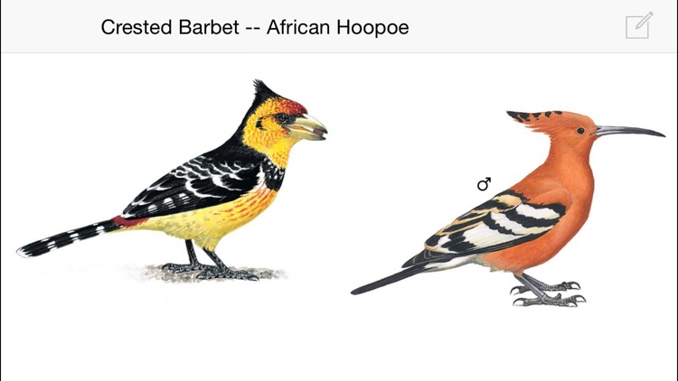 Sasol eBirds of Southern Africa LITE screenshot-4