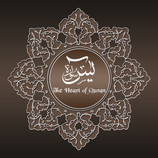 Surah Yasin Audio Urdu - English Translation Pro icon
