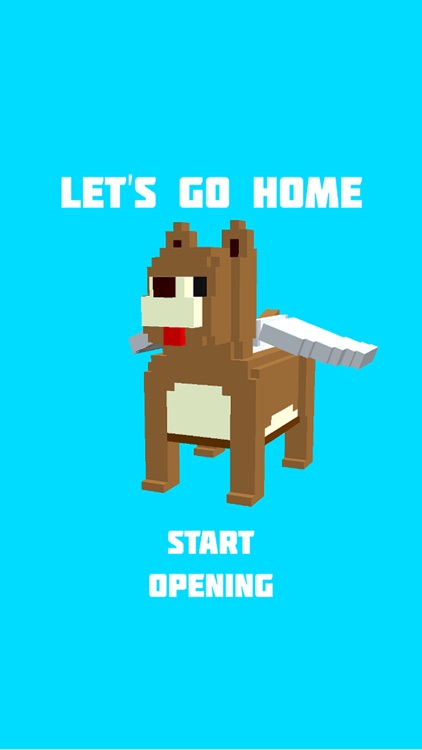 Let's Go Home By Flappy