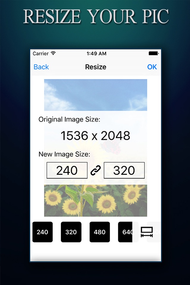 Image Resizer ADVANCED - Photo Resize Editor To Reshape pictures and Photos screenshot 2
