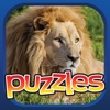 African Safari Puzzle Premium