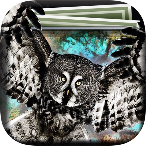 Owl Art Gallery HD – Artworks Wallpapers , Themes and Collection Beautiful Backgrounds icon