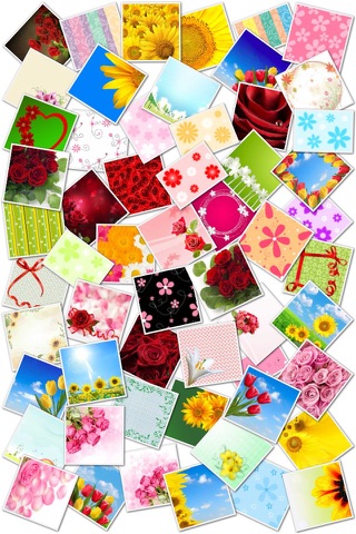 Flower Picture Frames and Stickers screenshot 2