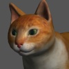 Cat Pose Tool 3D