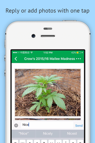 OZ Stoners Cannabis Community - náhled