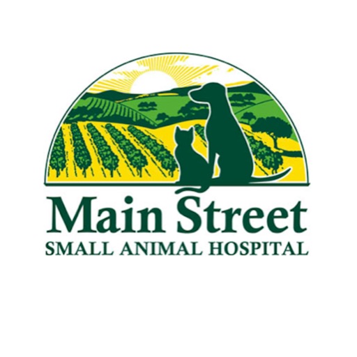 Main St Vet