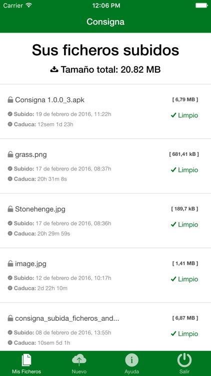 Consigna