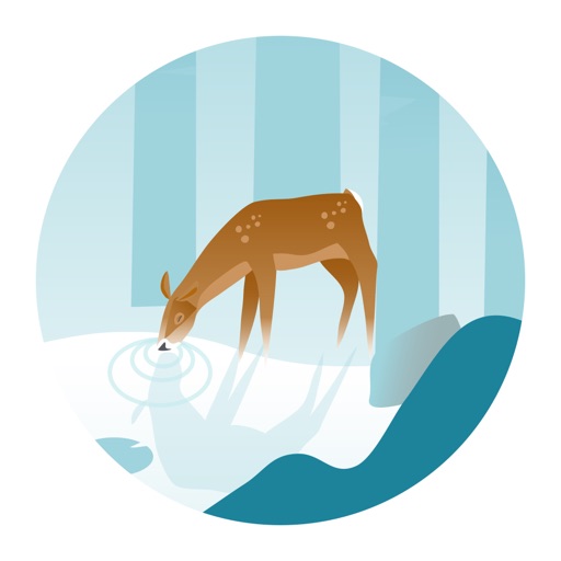 Wildfulness - Unwind in nature and calm your mind with nature sounds and illustrations