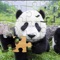 Animal Jigsaw - zoo Puzzle kids free games