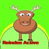 Reindee Active