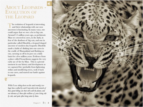 Eye of the Leopard screenshot 4