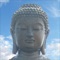 Are you looking for Free Gautama Buddha Quotes with Ebook Reader 